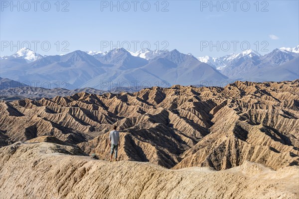 Hiker stands in front of canyons and eroded hills, Badlands, Valley of the Forgotten Rivers, near Bokonbayevo, Yssykkoel, Kyrgyzstan, Asia
