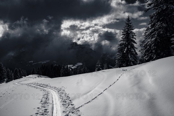 Ski touring track in front of a dark sky, Balderschwang, Oberallgaeu, Bavaria, Germany, Europe