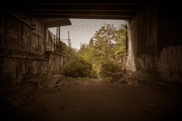 An abandoned railway line, overgrown with plants, with graffiti on the walls, former Rethel railway branch, Lost Place, Flingern, Duesseldorf, North Rhine-Westphalia, Germany, Europe