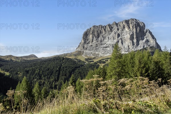 View of the Sassolungo, Dolomites, South Tyrol, Italy, Europe