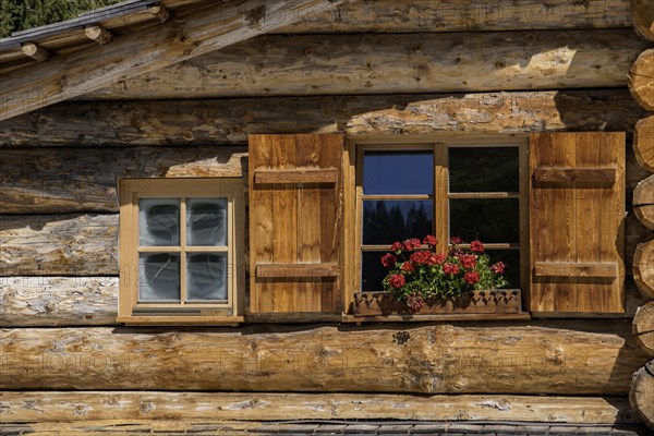 Window with shutters and geraniums at a mountain hut, South Tyrol, Italy, Europe