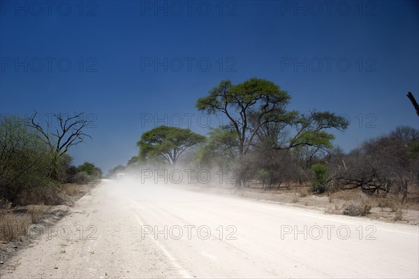 The C44 near Tsumke, road, highway, path, centre, nobody, lonely, road trip, landscape, journey, car, adventure, sandy track, dusty, dusty, distance, Namibia, Africa