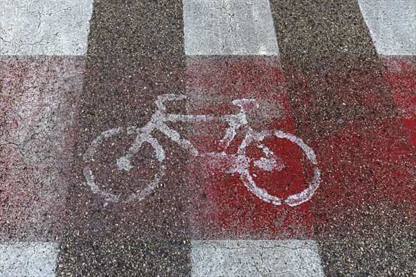 Marked cycle path, Genoa, Italy, Europe