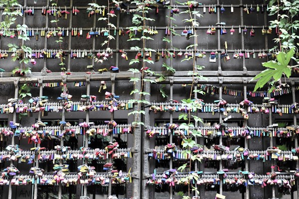 Love locks at Juliet's house, Casa di Giulietta, Verona, Veneto, Veneto, Italy, Europe