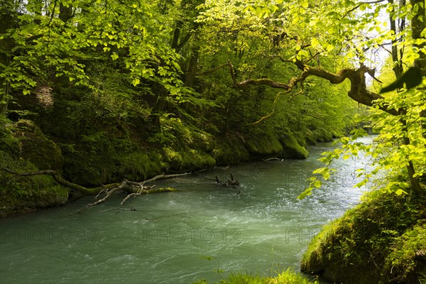 Erlauf, Erlauf Gorge, Purgstall an der Erlauf, Lower Austria