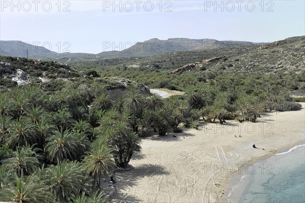 Palm Beach Vai, East Crete, Crete, Greece, Crete, Greece, Europe