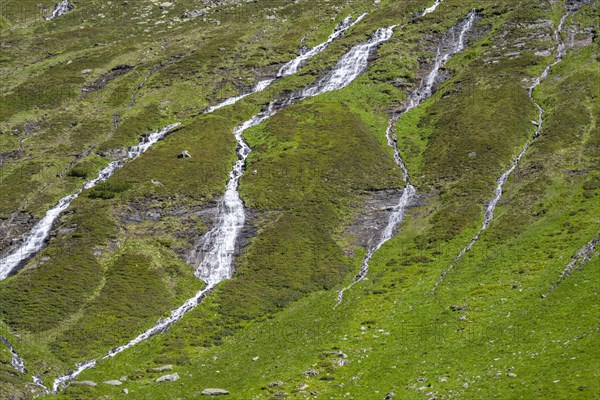 Waterfalls on a green mountainside, Berliner Hoehenweg, Zillertal Alps, Tyrol, Austria, Europe