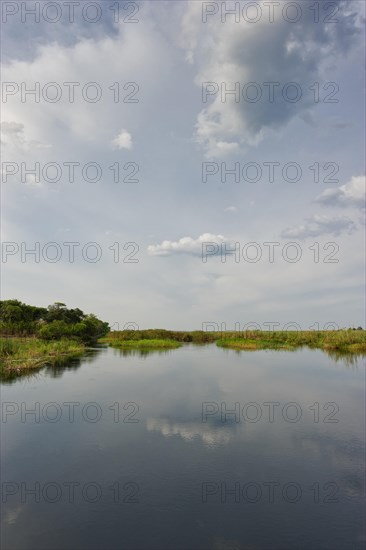 River cruise in the Okavango Delta, reeds, clouds, nature, natural landscape, landscape, nobody, puristic, reflection, Kwando River, BwaBwata National Park, Namibia, Africa