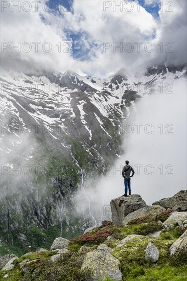 Mountaineer standing on a rock, cloudy mountain landscape with blooming alpine roses, view of rocky and glaciated mountains, Furtschaglhaus, Berliner Hoehenweg, Zillertal, Tyrol, Austria, Europe