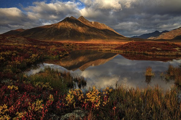 Reflection of mountains in a small lake in morning light, clouds, tundra, autumn, Dempster Highway, Ogilvie Mountains, Yukon Territory, Canada, North America