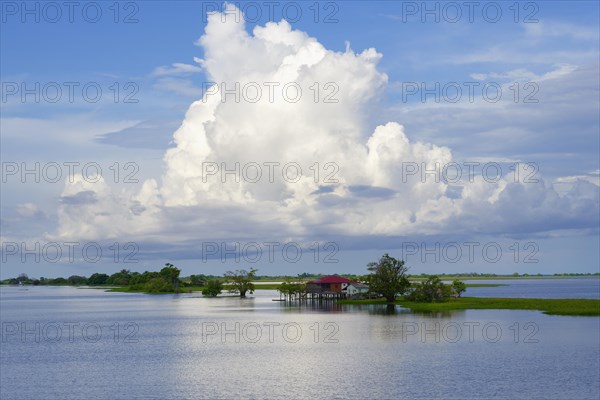 Wooden houses on stilts in the Itapicuru laguna, Para state, Brazil, South America