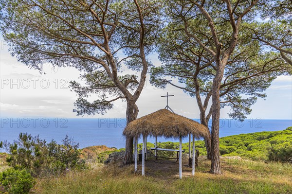 Small temporary chapel with thatched roof under pine trees (Linus) at the Tenuta delle Rippelte winery, Elba, Tuscan Archipelago, Tuscany, Italy, Europe