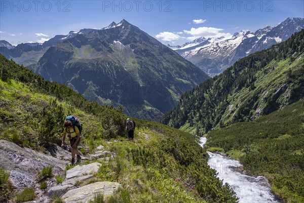 Two mountaineers on a hiking trail by a stream, Berliner Hoehenweg, summit Grosser Ingent and Grosser Greiner, Zillertal Alps, Tyrol, Austria, Europe