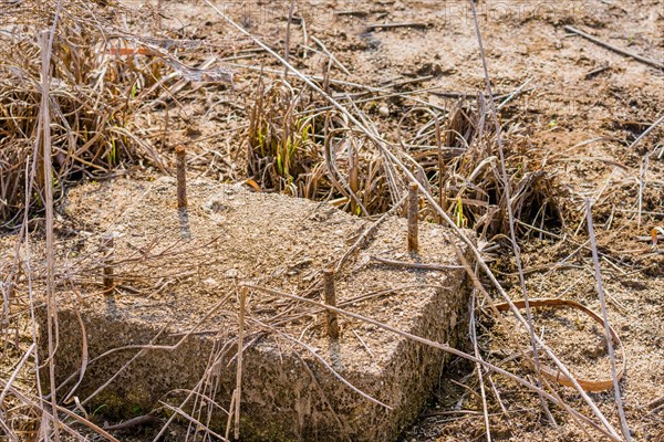 Concrete block with threaded metal bars that is part of building foundation in tall grass of dried riverbed