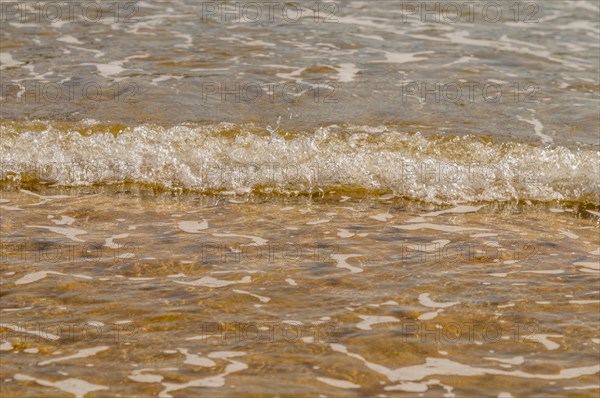 Waves coming into shore at an ocean beach