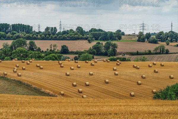 Field with scattered straw bales and trees in the background, Osterholz, Wuppertal, North Rhine-Westphalia, Germany, Europe