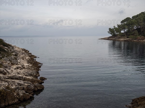 View of a bay from the promenade path, near Veli Losinj, Kvarner Bay, Croatia, Europe