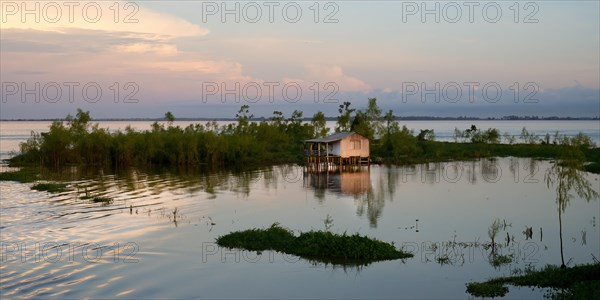 Wooden house on stilts reflecting in a laguna at sunrise, Amazonas state, Brazil, South America