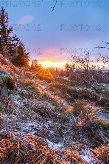 Landscape on the Grosser Feldberg, Taunus volcanic region. A cloudy, sunny winter day, meadows, hills, snow and forests with a view of the winter sunset. Hesse, Germany, Europe