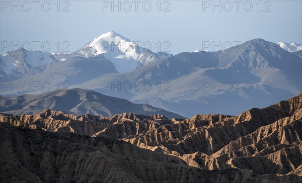 Canyons, mountains of the Tian Shan in the background, eroded hills, badlands, Valley of the Forgotten Rivers, near Bokonbayevo, Yssykkoel, Kyrgyzstan, Asia