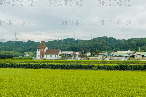 House displaying large Christian cross on roof near rice paddy in rural farming community