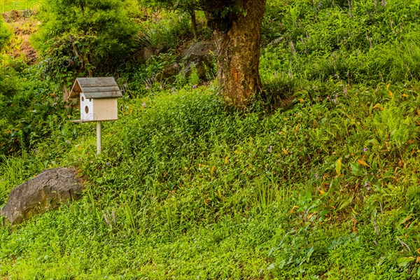 Wooden birdhouse on white pole next to boulder in front of tree on grassy hillside