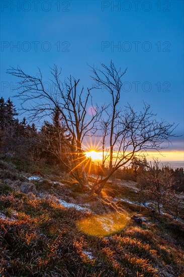 Landscape on the Grosser Feldberg, Taunus volcanic region. A cloudy, sunny winter day, meadows, hills, snow and forests with a view of the winter sunset. Hesse, Germany, Europe