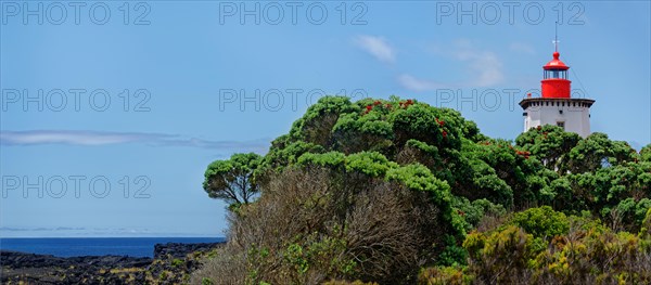 View of the lighthouse Farol da Ponta da Iha, surrounded by green flora and red blossoming trees, lava rock coastal path Ponta da Iiha, Manhenha, west coast, Pico, Azores