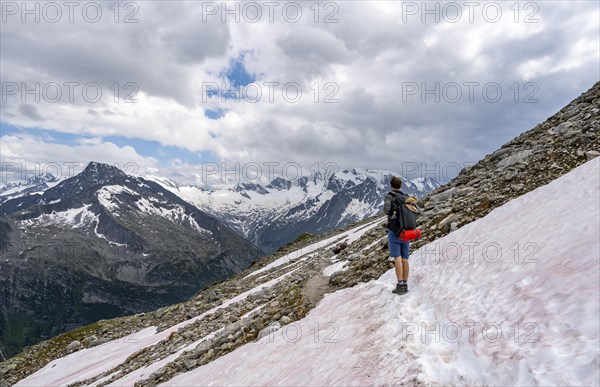 Mountaineer on hiking trail with snow, Berliner Hoehenweg, mountain landscape with glaciated peaks Hochfeiler and Hoher Weisszint, Zillertal Alps, Tyrol, Austria, Europe