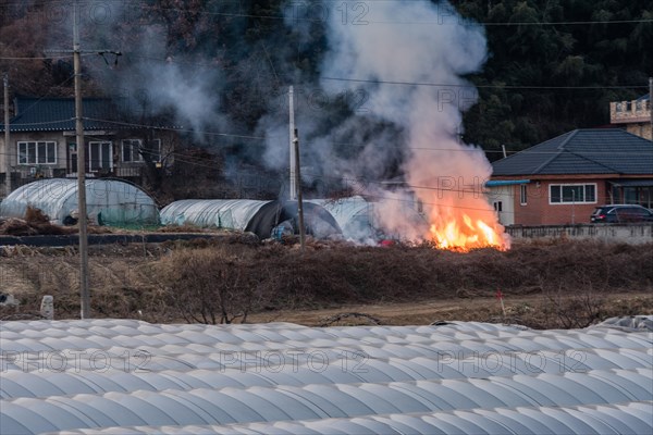 Large open fire with yellow flames and billowing smoke outside near a red brick house and three plastic cover green houses