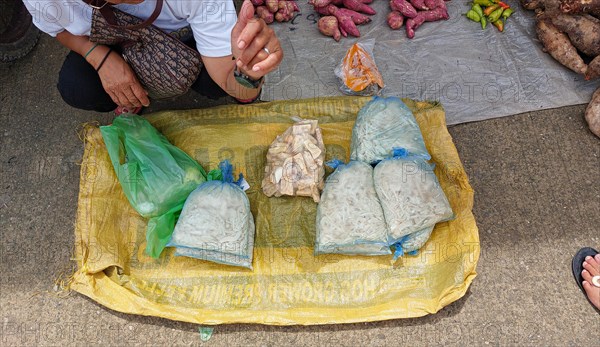 Vendor sitting and waiting for costumers at a farmer's market selling local organic vegetable, candid authentic daily life, livelihood and lifestyle in rural Philippines