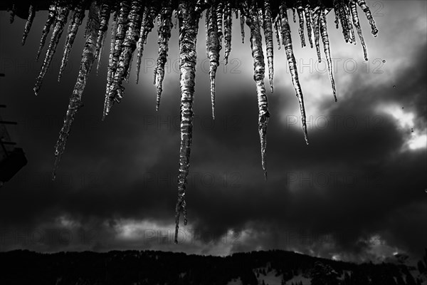 Icicle on gutter in front of dark sky, Balderschwang, Oberallgaeu, Bavaria, Germany, Europe