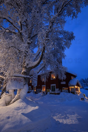Snow-covered house with tree at dusk, illuminated, shop, winter, Porjus, Lapland, Sweden, Europe