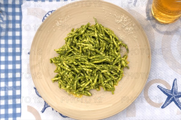 Genoese speciality, Trofie al pesto alla genovese, pasta with pesto alla genovese, Genoa, Italy, Europe