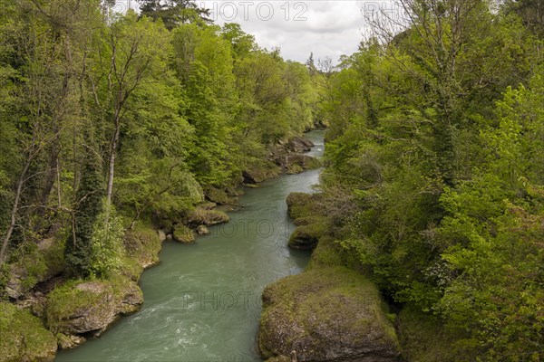 Erlauf, Erlauf Gorge, Purgstall an der Erlauf, Lower Austria