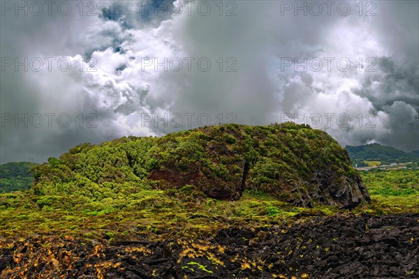 Green hills and dark volcanic rocks under a dramatic cloudy sky, lava rocks coastal hiking trail Ponta da Iiha, Calhau, west coast, Pico, Azores