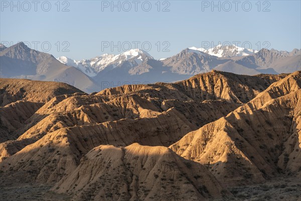 Sunrise over canyons, Tian Shan mountains in the background, eroded hilly landscape, badlands, Valley of the Forgotten Rivers, near Bokonbayevo, Yssykkoel, Kyrgyzstan, Asia