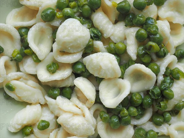 Orecchiette pasta with chickpeas