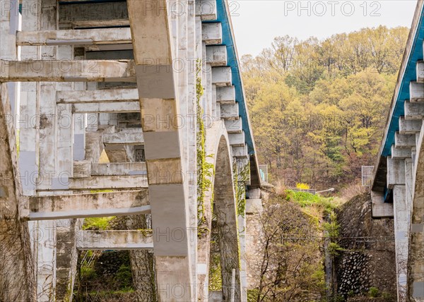 Landscape of Ivy vines crawling up large concrete bridges with wooded area and a dull white sky in the background