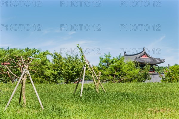 Tiled oriental roof top in public park with trees and lush green grass under a blue sky