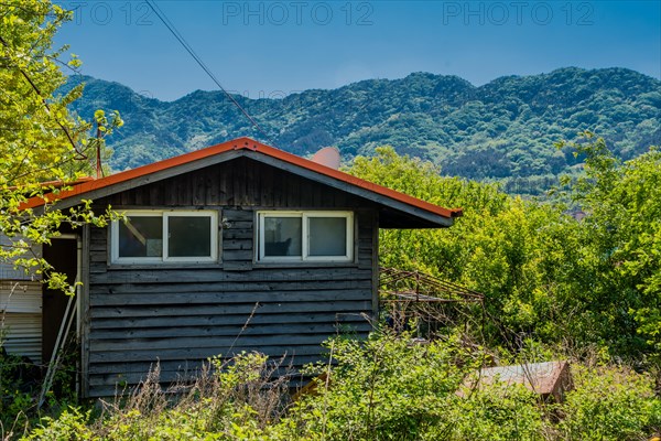 Abandoned wooden shack in wilderness surrounded by high grasses, weeds and trash with blue sky and mountains in background