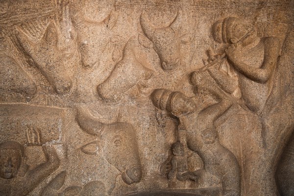 Bas-relief, detail, UNESCO World Heritage Site, Mahabalipuram or Mamallapuram, Tamil Nadu, India, Asia