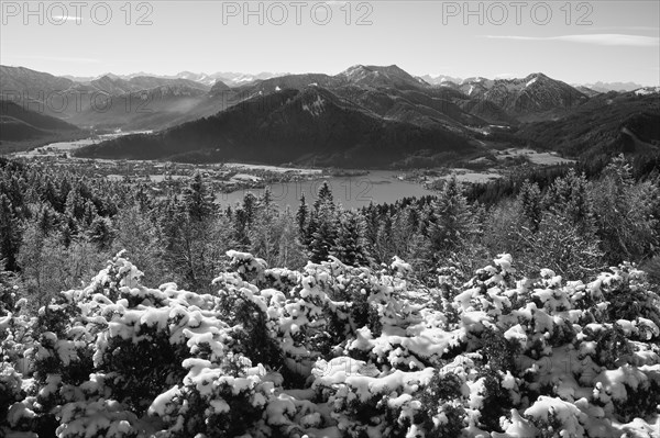 View from Neureuth to Tegernsee and Hirschberg, winter, snow, Tegernsee, Mangfall mountains, Bavarian Prealps, Upper Bavaria, Bavaria, Germany, Europe
