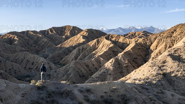 Hiker walks between canyons, behind mountains of the Tian Shan, eroded hilly landscape, badlands, Valley of the Forgotten Rivers, near Bokonbayevo, Yssykkoel, Kyrgyzstan, Asia