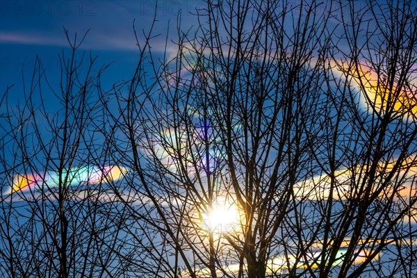 Beautiful Colorful Rainbow Clouds (Cloud Iridescence) Against Blue Sky and a Tree with Branches and Sunlight with Light Effect in Lugano, Ticino, Switzerland, Europe