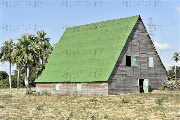 Tobacco drying house, near Vinales, Valle de Vinales, Cuba, Greater Antilles, Caribbean, Central America