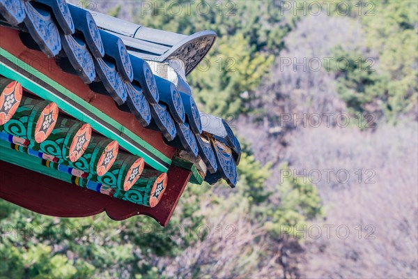 Tilled roof of an oriental building with trees in the background at a local woodland park in South Korea
