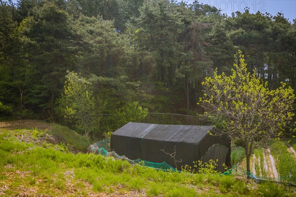 Small shed covered with black mesh material in a wooded area in the countryside on a bright sunny morning