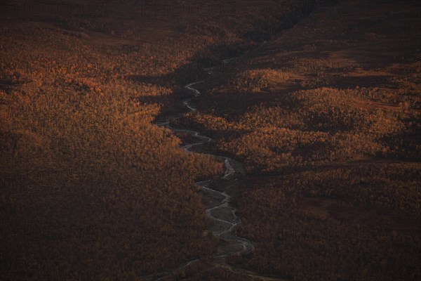 Abisko National Park in autumn. River bend in the forest