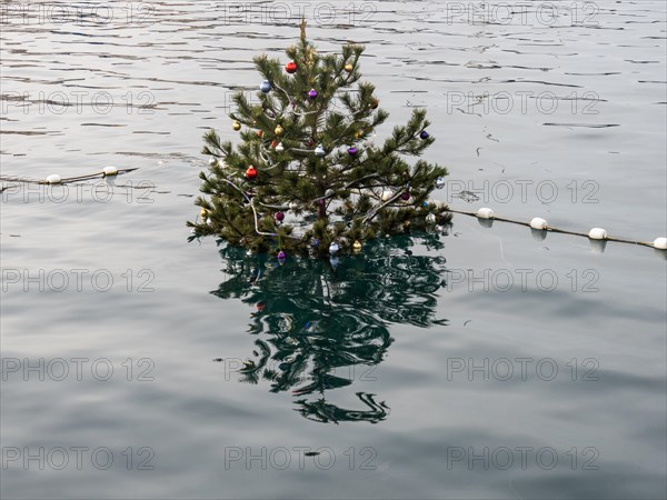 Christmas tree in the harbour basin, harbour of Mali Losinj, island of Losinj, Kvarner Gulf Bay, Adriatic Sea, Croatia, Europe